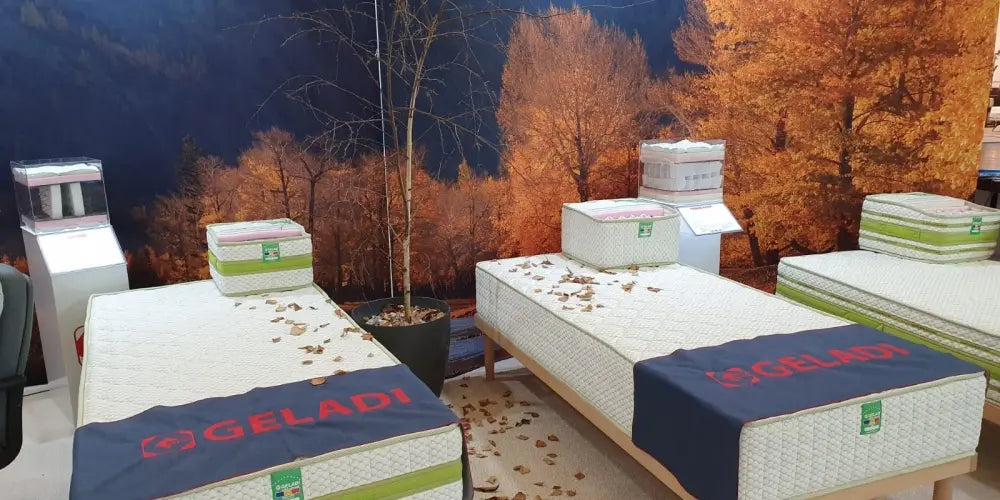 Saltele Geladi, expuse la cel mai mare târg de profil din lume